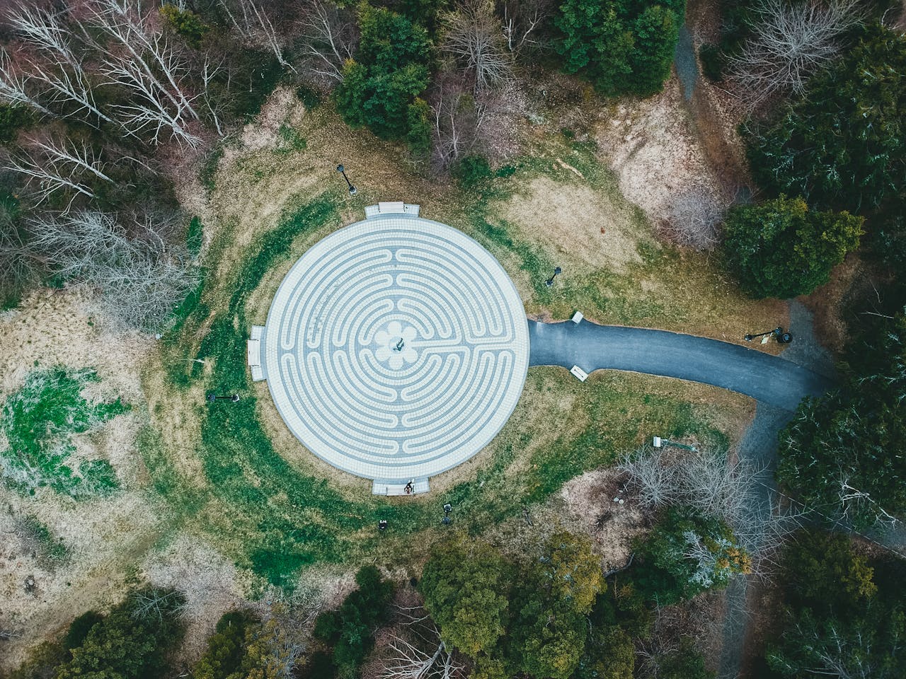 source: https://www.pexels.com/photo/circular-maze-in-forest-12005126/